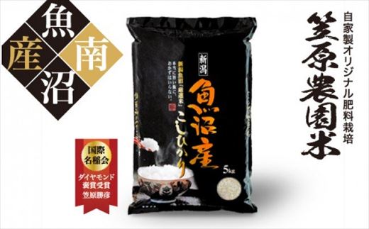 コシヒカリ